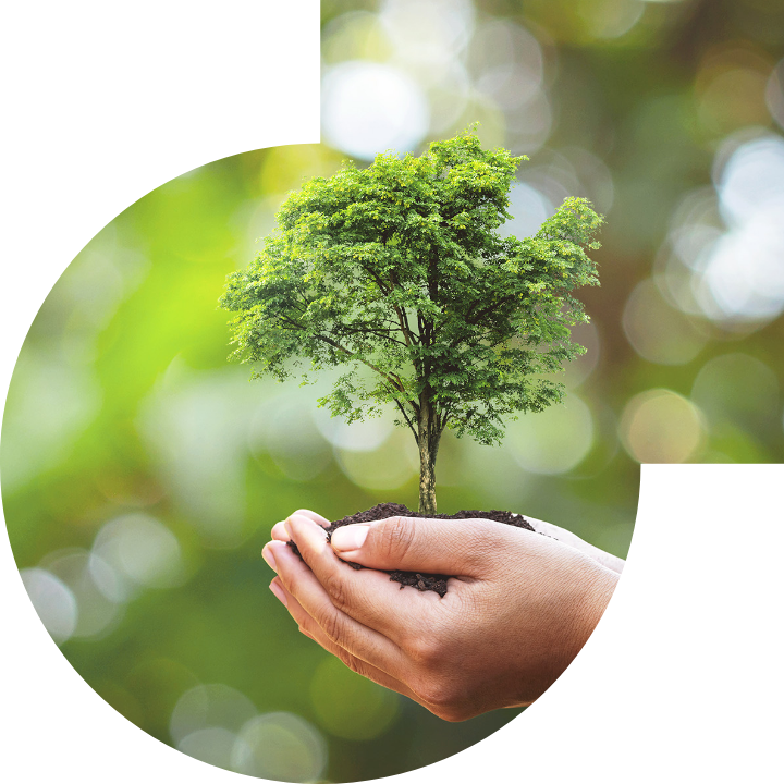 关怀人类、文化、环境与社会